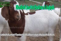 Khutbah Jumat Tentang Qurban dan Aqiqah Lillah