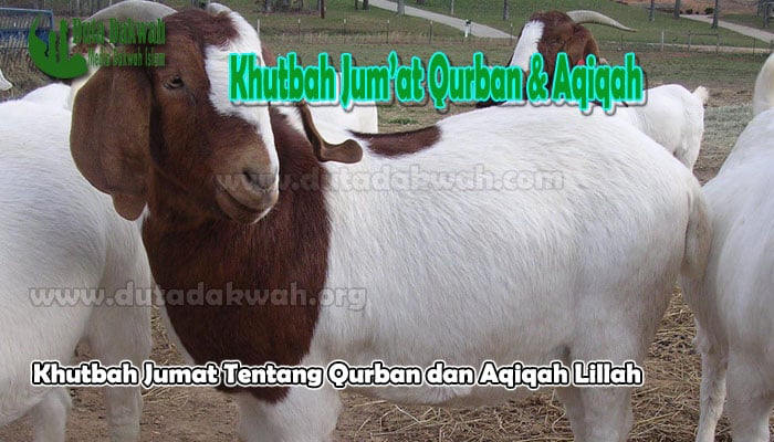 Khutbah Jumat Tentang Qurban dan Aqiqah Lillah