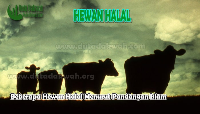 Beberapa Hewan Halal Menurut Pandangan Islam