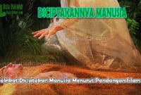 Hakikat Diciptakan Manusia