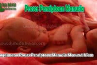 Proses Penciptaan Manusia