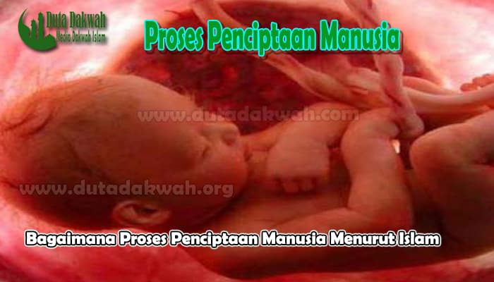 Proses Penciptaan Manusia