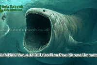 Kisah Nabi Yunus AS Di Telan Ikan Paus Karena Ummatnya