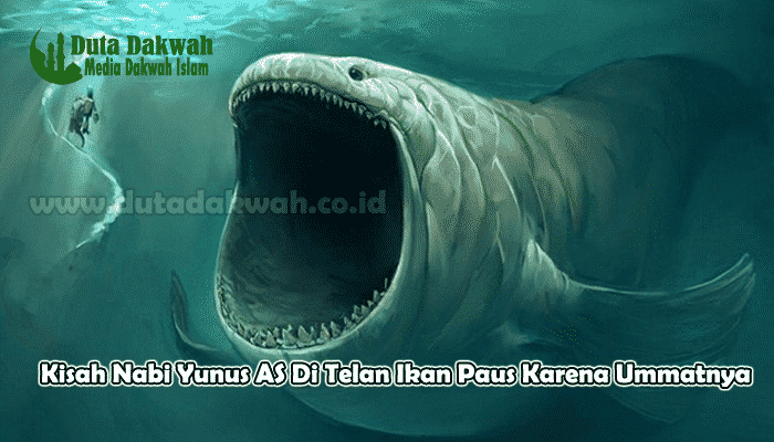 Kisah Nabi Yunus AS Di Telan Ikan Paus Karena Ummatnya