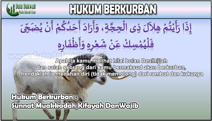 Hukum Berkurban Sunnat Muakkadah Kifayah DanWajib