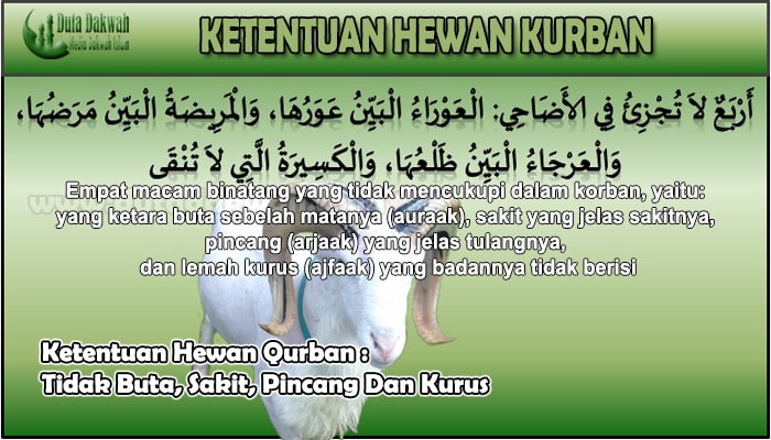 Ketentuan Hewan Qurban Tidak Buta, Sakit, Pincang Dan Kurus.jpg