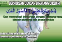 Kurban Dengan Binatang Dikebiri Mencukupi, Makruh Atau Haram.jpg