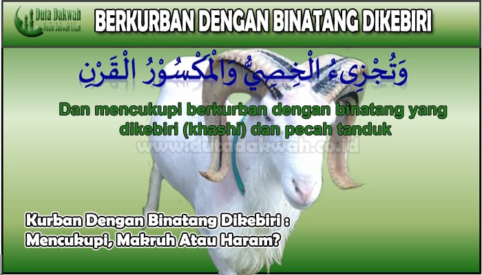 Kurban Dengan Binatang Dikebiri Mencukupi, Makruh Atau Haram.jpg