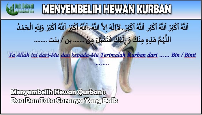 Menyembelih Hewan Qurban Doa Dan Tata Caranya Yang Baik