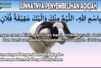 Sunnatnya Penyembelihan Aqiqah Beberapa Sunnah Yang Dianjurkan.jpg