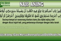 Najis Anjing