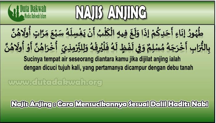 Najis Anjing