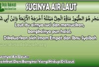 Sucinya Air Laut