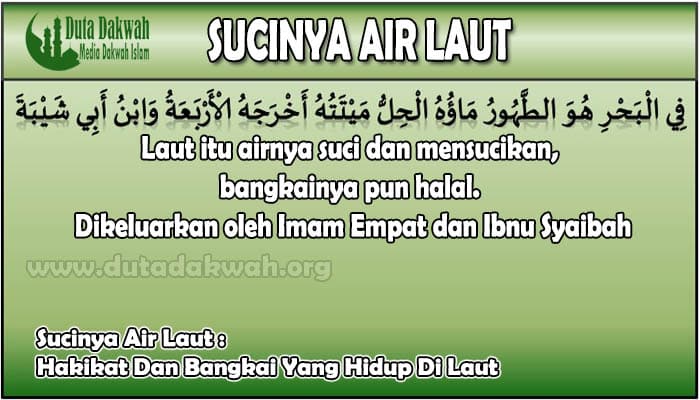 Sucinya Air Laut