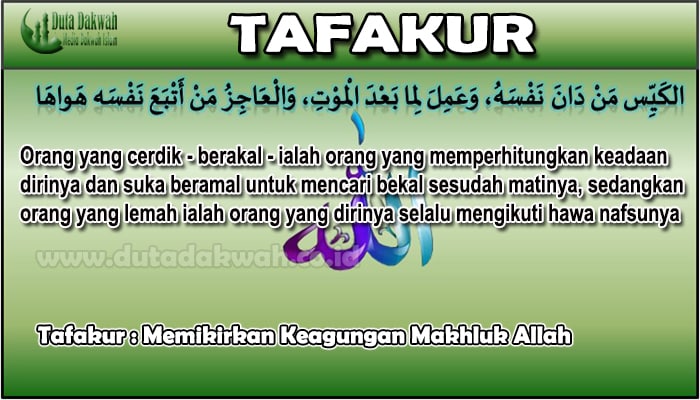 Tafakur Memikirkan Keagungan Makhluk Allah