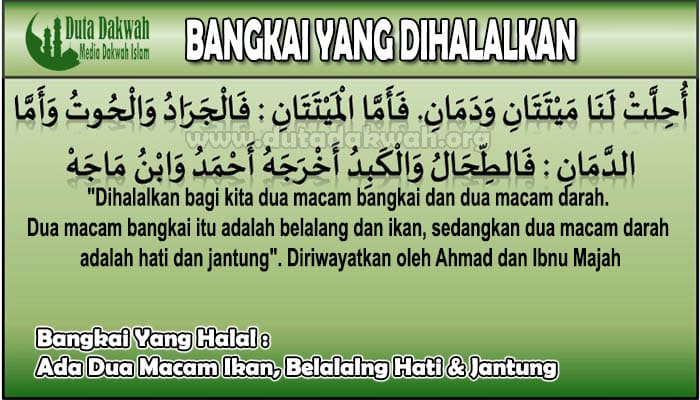 Bangkai Yang Halal