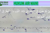 Air Mani Dan Hukumnya