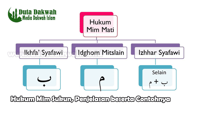 Hukum Mim Sukun, Penjelasan beserta Contohnya