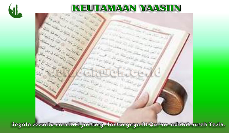 Keutamaan Membaca Yaasiin